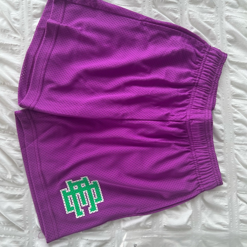 COPY - Eric Emanuel Shorts (purple/green) size small 30-32